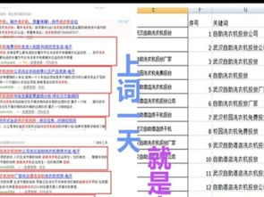 國慶獻禮，濃情回饋 網站建設698元限時搶購，助力武漢產品供應加工企業騰飛