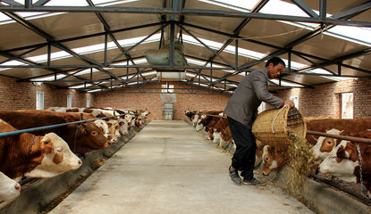 【走進“三農”】張家川五大產業齊并進（三）畜牧設備技術開發 賦能傳統養殖，驅動產業升級